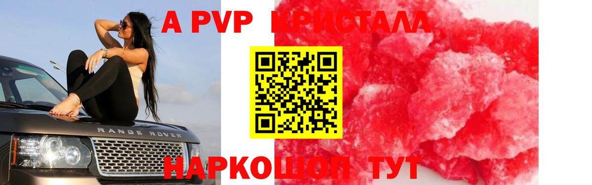 А ПВП СК  Вход с VPN  A-PVP СК  Рославль  Альфа ПВП крисы CK 
