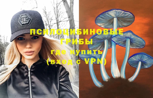 стафф Сатка