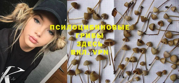 соль ск Саяногорск