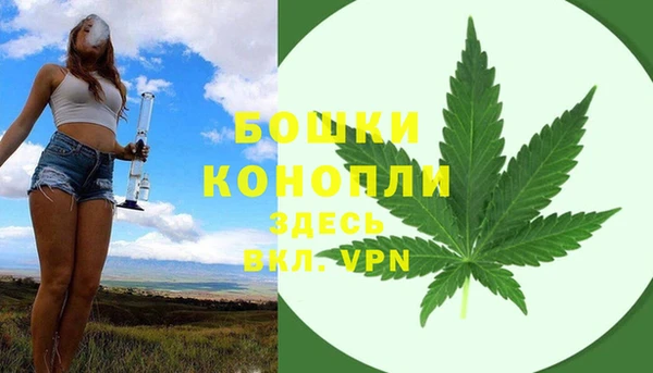 сатива Ростов