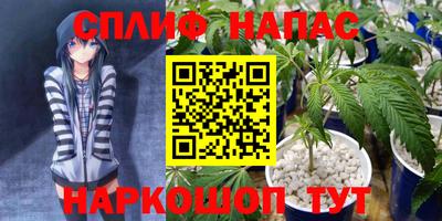 прущие грибы Будённовск