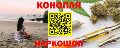 прущие грибы Будённовск