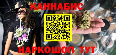 прущие грибы Будённовск