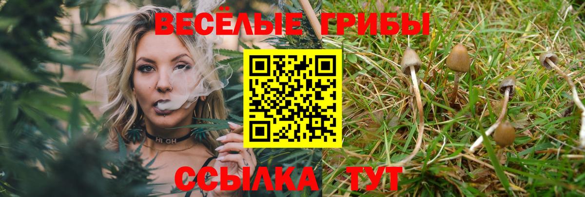 Псилоцибиновые грибы ЛСД  Вход с VPN  Рославль 